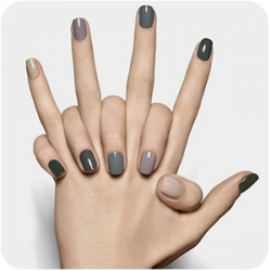 ♂ ♀ Les Vernis