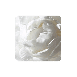 Offre 12 Massage Relaxant (Californien)